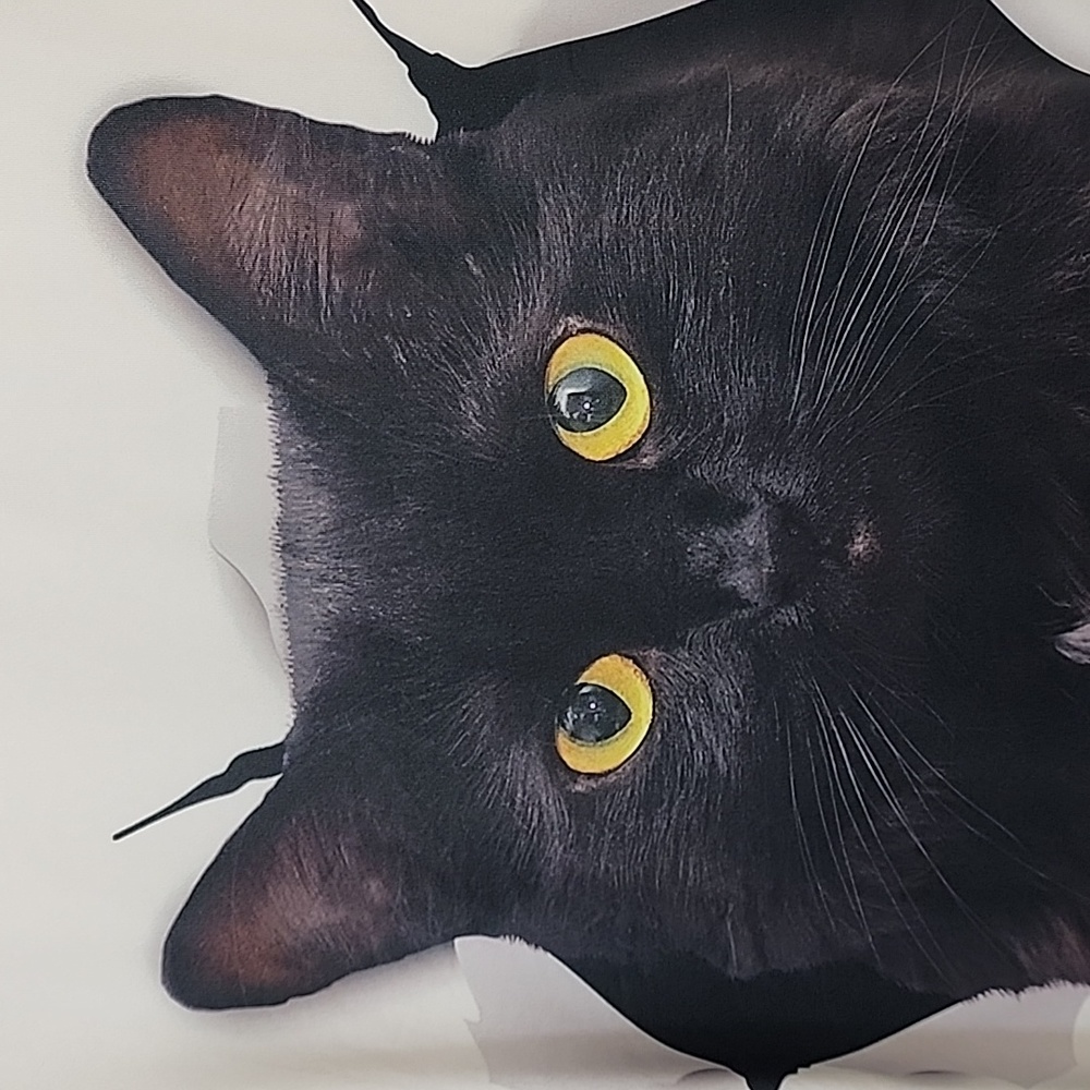 Black cat graphic short sleeve polyester t-shirt men's size small - Picture 3 of 9